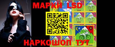 apvp Краснодар