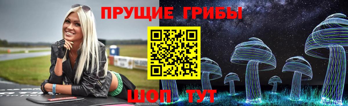 Каменка  Галлюциногенные грибы Magic Shrooms  Вход с VPN 